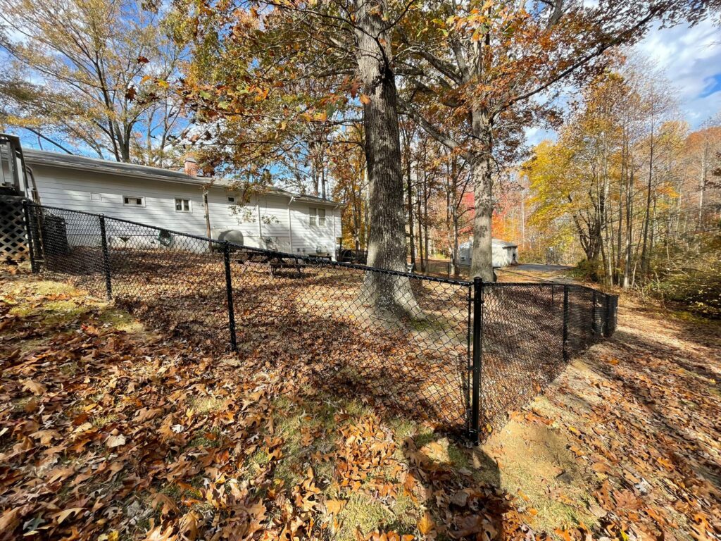 Black chain link fence in a leafy backyard under large trees