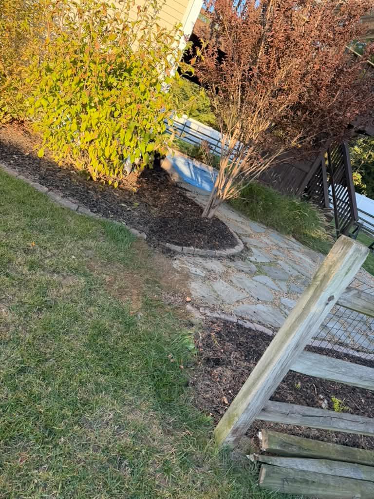 Old leaning wood fence before replacement