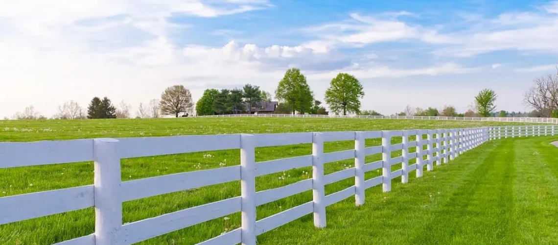 TF Split Rail Fence